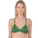 Rainbows Rain In The Golden Mangrove Forest Reversible Tri Bikini Top View1