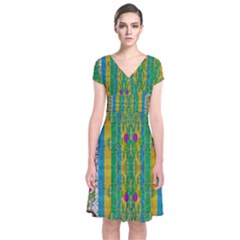 Rainbows Rain In The Golden Mangrove Forest Short Sleeve Front Wrap Dress by pepitasart