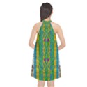 Rainbows Rain In The Golden Mangrove Forest Halter Neckline Chiffon Dress  View2