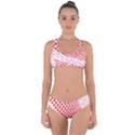 Waves Wave Learning Connection Polka Red Pink Chevron Criss Cross Bikini Set View1