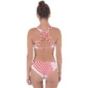 Waves Wave Learning Connection Polka Red Pink Chevron Criss Cross Bikini Set View2