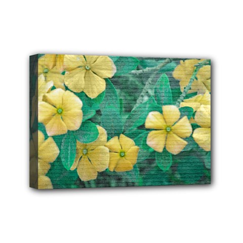 Yellow Flowers At Nature Mini Canvas 7  X 5  by dflcprints