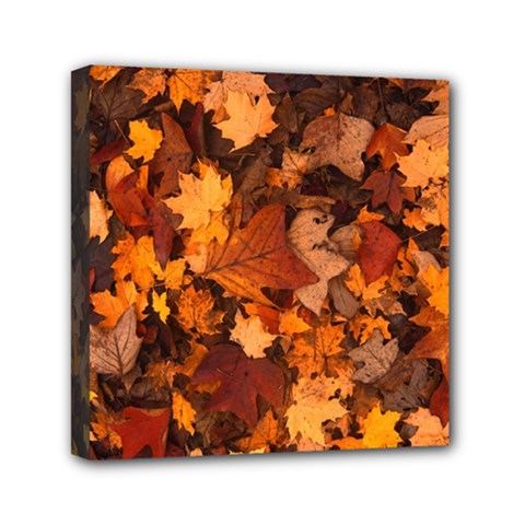 Fall Foliage Autumn Leaves October Mini Canvas 6  X 6  by Nexatart