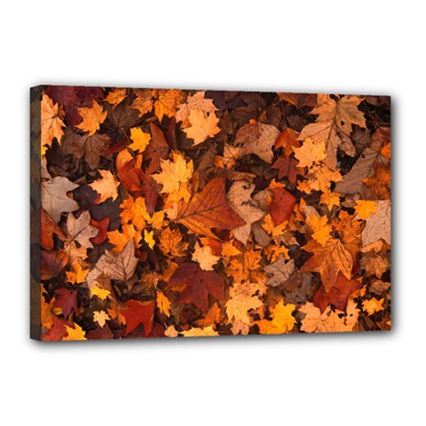 Fall Foliage Autumn Leaves October Canvas 18  X 12  by Nexatart