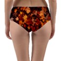 Fall Foliage Autumn Leaves October Reversible Mid-Waist Bikini Bottoms View4