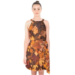 Fall Foliage Autumn Leaves October Halter Collar Waist Tie Chiffon Dress