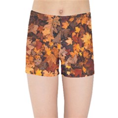 Fall Foliage Autumn Leaves October Kids Sports Shorts