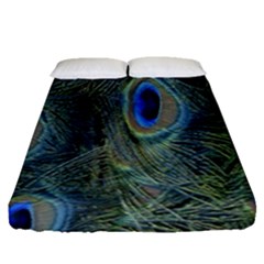 Peacock Feathers Blue Bird Nature Fitted Sheet (queen Size) by Nexatart