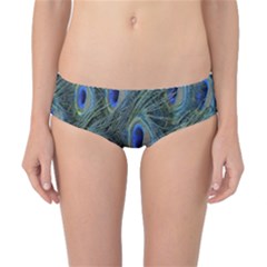 Peacock Feathers Blue Bird Nature Classic Bikini Bottoms by Nexatart