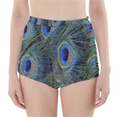 Peacock Feathers Blue Bird Nature High-waisted Bikini Bottoms by Nexatart