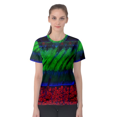 Cells Rainbow Women s Sport Mesh Tee by Mariart