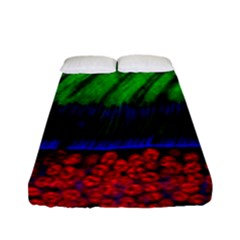 Cells Rainbow Fitted Sheet (full/ Double Size) by Mariart