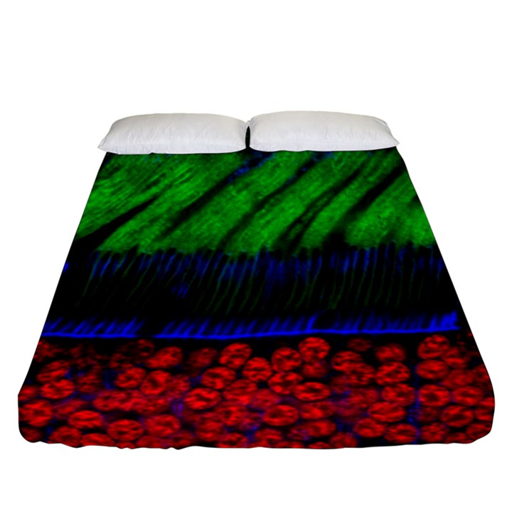 Cells Rainbow Fitted Sheet (Queen Size)