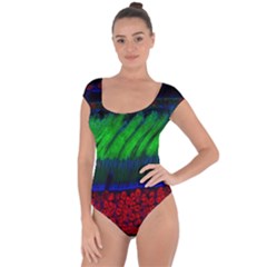 Cells Rainbow Short Sleeve Leotard  by Mariart