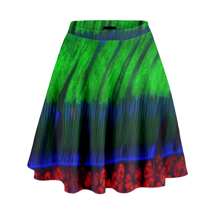 Cells Rainbow High Waist Skirt