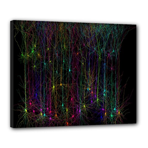 Brain Cell Dendrites Canvas 20  X 16  by Mariart