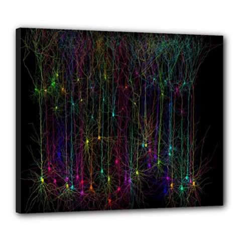 Brain Cell Dendrites Canvas 24  X 20 