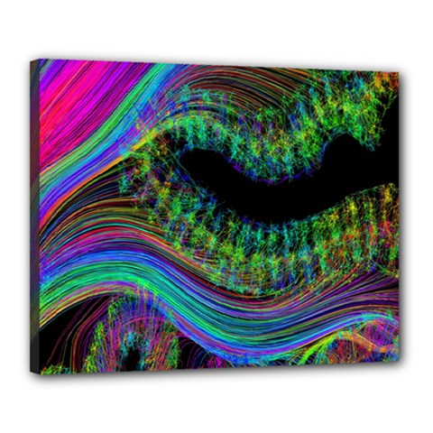 Aurora Wave Colorful Space Line Light Neon Visual Cortex Plate Canvas 20  X 16 