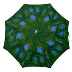 Fluorescence Microscopy Green Blue Straight Umbrellas by Mariart