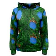 Fluorescence Microscopy Green Blue Women s Pullover Hoodie by Mariart