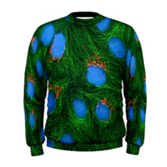 Fluorescence Microscopy Green Blue Men s Sweatshirt