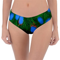 Fluorescence Microscopy Green Blue Reversible Classic Bikini Bottoms by Mariart