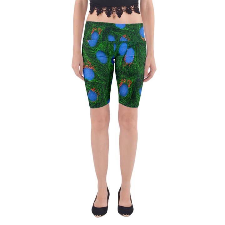 Fluorescence Microscopy Green Blue Yoga Cropped Leggings