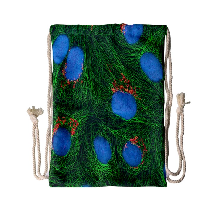 Fluorescence Microscopy Green Blue Drawstring Bag (Small)