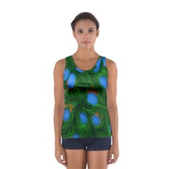 Fluorescence Microscopy Green Blue Sport Tank Top  by Mariart