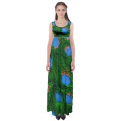 Fluorescence Microscopy Green Blue Empire Waist Maxi Dress