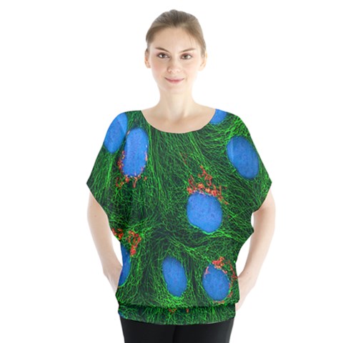 Fluorescence Microscopy Green Blue Blouse by Mariart