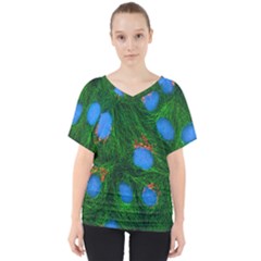 Fluorescence Microscopy Green Blue V-neck Dolman Drape Top