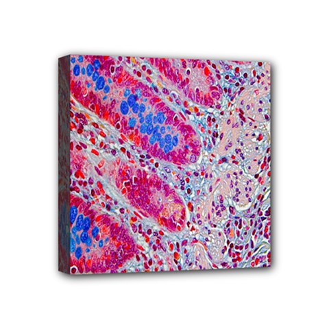 Histology Inc Histo Logistics Incorporated Alcian Blue Mini Canvas 4  X 4  by Mariart