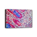 Histology Inc Histo Logistics Incorporated Alcian Blue Mini Canvas 6  x 4  View1