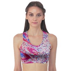 Histology Inc Histo Logistics Incorporated Alcian Blue Sports Bra by Mariart