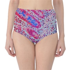 Histology Inc Histo Logistics Incorporated Alcian Blue High-waist Bikini Bottoms by Mariart