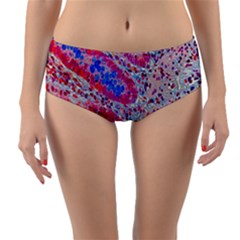 Histology Inc Histo Logistics Incorporated Alcian Blue Reversible Mid-waist Bikini Bottoms by Mariart