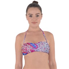 Histology Inc Histo Logistics Incorporated Alcian Blue Halter Bandeau Bikini Top by Mariart