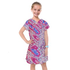 Histology Inc Histo Logistics Incorporated Alcian Blue Kids  Drop Waist Dress by Mariart