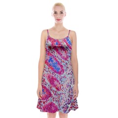 Histology Inc Histo Logistics Incorporated Alcian Blue Spaghetti Strap Velvet Dress