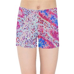 Histology Inc Histo Logistics Incorporated Alcian Blue Kids Sports Shorts