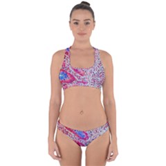 Histology Inc Histo Logistics Incorporated Alcian Blue Cross Back Hipster Bikini Set by Mariart