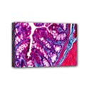 Histology Inc Histo Logistics Incorporated Masson s Trichrome Three Colour Staining Mini Canvas 6  x 4  View1