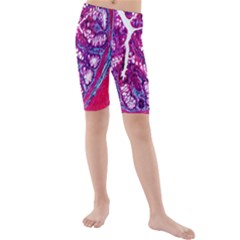 Histology Inc Histo Logistics Incorporated Masson s Trichrome Three Colour Staining Kids  Mid Length Swim Shorts by Mariart