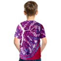 Histology Inc Histo Logistics Incorporated Masson s Trichrome Three Colour Staining Kids  Sport Mesh Tee View2