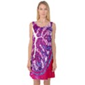 Histology Inc Histo Logistics Incorporated Masson s Trichrome Three Colour Staining Sleeveless Satin Nightdress View1