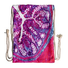 Histology Inc Histo Logistics Incorporated Masson s Trichrome Three Colour Staining Drawstring Bag (large) by Mariart