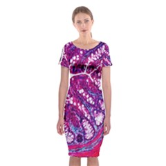 Histology Inc Histo Logistics Incorporated Masson s Trichrome Three Colour Staining Classic Short Sleeve Midi Dress