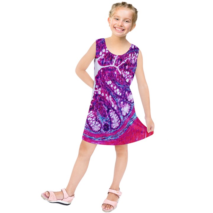 Histology Inc Histo Logistics Incorporated Masson s Trichrome Three Colour Staining Kids  Tunic Dress