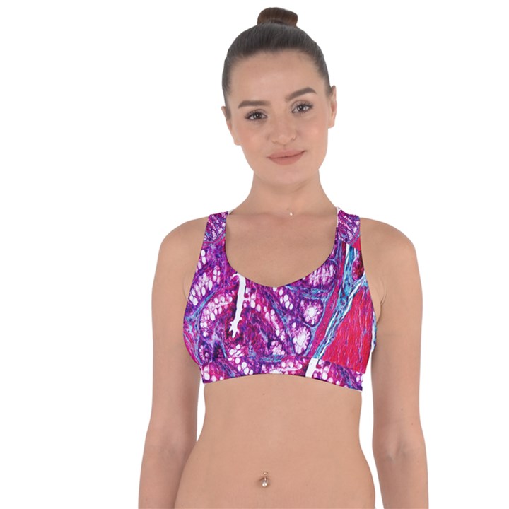 Histology Inc Histo Logistics Incorporated Masson s Trichrome Three Colour Staining Cross String Back Sports Bra